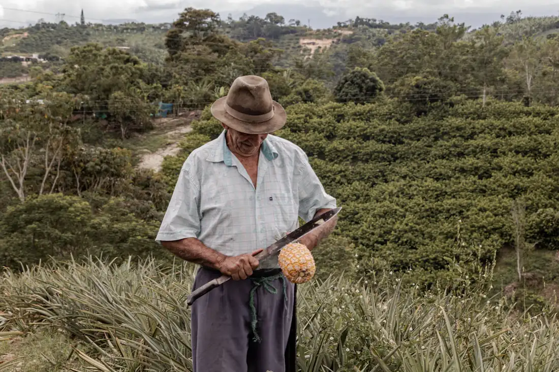 Campesino de sombrero en su parcela, en el campo de Jalisco
